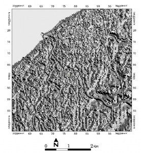 Aspect map derived from a digital elevation model of Lismore, Nova Scotia