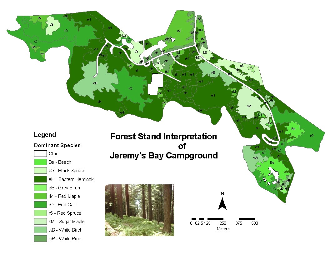 Poster showing Spatial modeling database of forest stands in Kejimkujik National Park and Historic Site