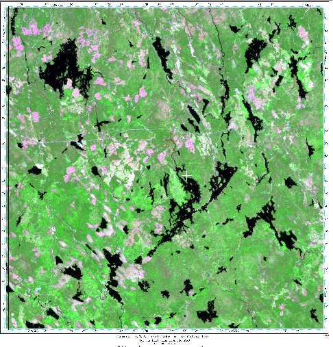 Enhanced LandSAT False Color Composite Image of Trout Lake, Nova Scotia