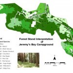 Spatial Database Modeling of forest stands in Kejimkujik National Park